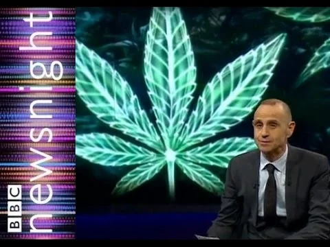 Can Cannabis oil reduce cancerous tumors?  - Newsnight