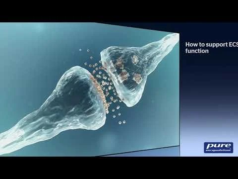 Cannabidiol and the Endocannabinoid System:  A Brief Tutorial