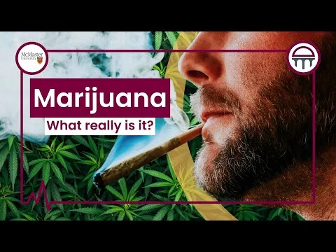 What is Marijuana?