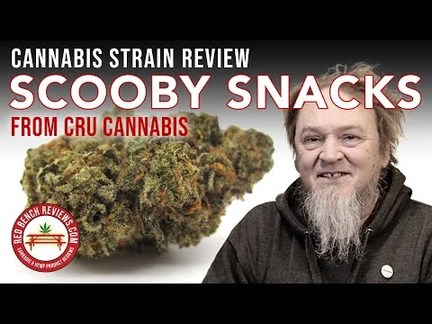 Scooby Snacks Strain Review – CRU Cannabis Brand