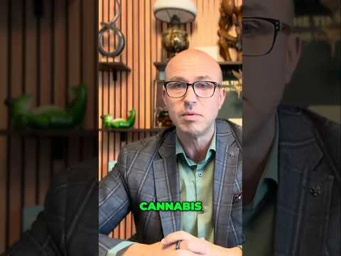 Cannabis & Focus – mijn persoonlijke verhaal