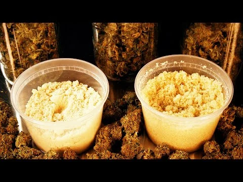 How to Make Cannabis Infused Sugar: Cannabasics #137