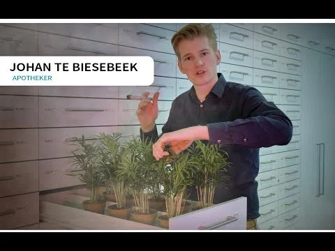 Cannabis met CBD of THC bij pijn? Apotheker Johan over het verschil