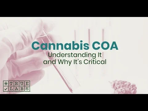 Cannabis COA: Understanding It and Why It’s Critical