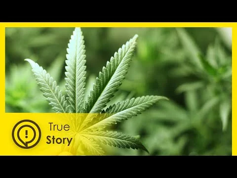 Can marijuana fight cancer? - True Story Documentary Channel