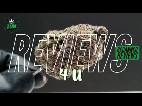 SIX NEW CANNABIS STRAIN REVIEWS ! | THC REVIEWS 4 U - BC CANN CO REVIEWS