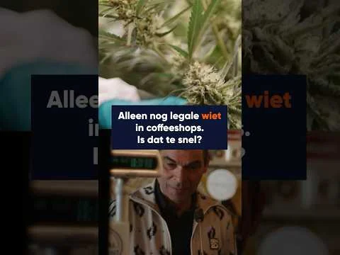 🌿 Tweede fase wietproef is begonnen, alleen nog legale cannabis in Coffeeshops