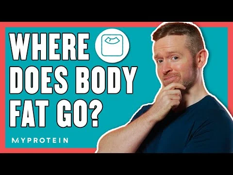 Where Does Body Fat Go? The Science Behind Weight Loss | Nutritionist Explains... | Myprotein