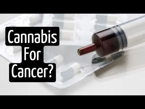How Does Cannabis Help with Cancer? | Discover Marijuana