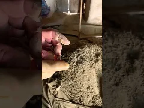 #hash#hashish#weed#pakistan#youtubeshorts#viralshortvideo#making#chill#travel#tribalareaofpakistan